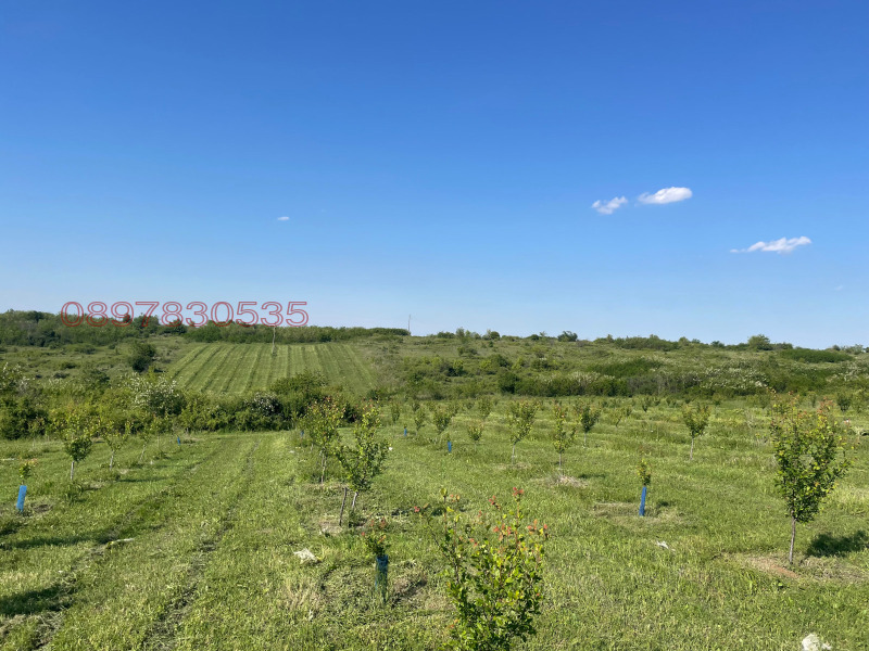 Продава ЗЕМЕДЕЛСКА ЗЕМЯ в област Монтана, с. Лехчево - 20 дка / 23 000 € » 44 984.09 лв.