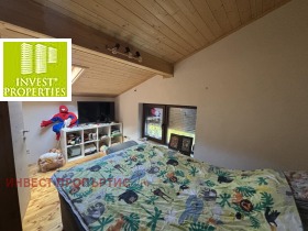 ����� ������� ����,���� �����, ����������>