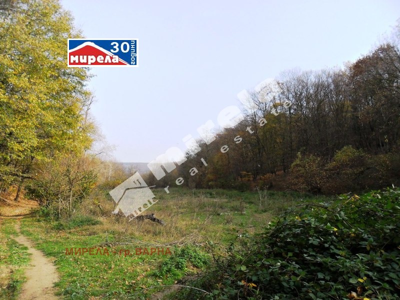 Продава  Парцел град Варна , с. Звездица , 12557 кв.м | 22578907 - изображение [7]