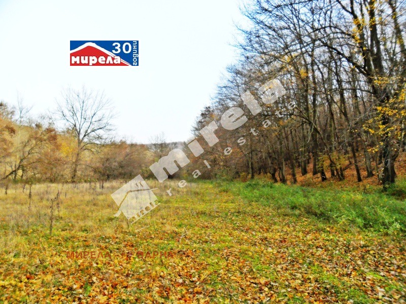 Продава  Парцел град Варна , с. Звездица , 12557 кв.м | 22578907 - изображение [5]