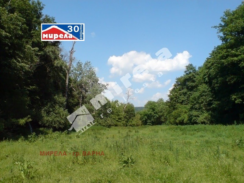 Продава  Парцел град Варна , с. Звездица , 12557 кв.м | 22578907