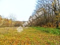 Продава ПАРЦЕЛ, град Варна, с. Звездица • 199999 € • 45286703 — Holmes.bg