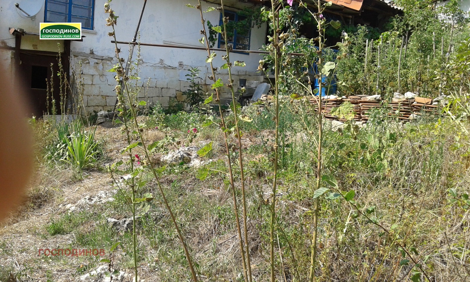 ������� ���� | Imot.bg � ����������� 8