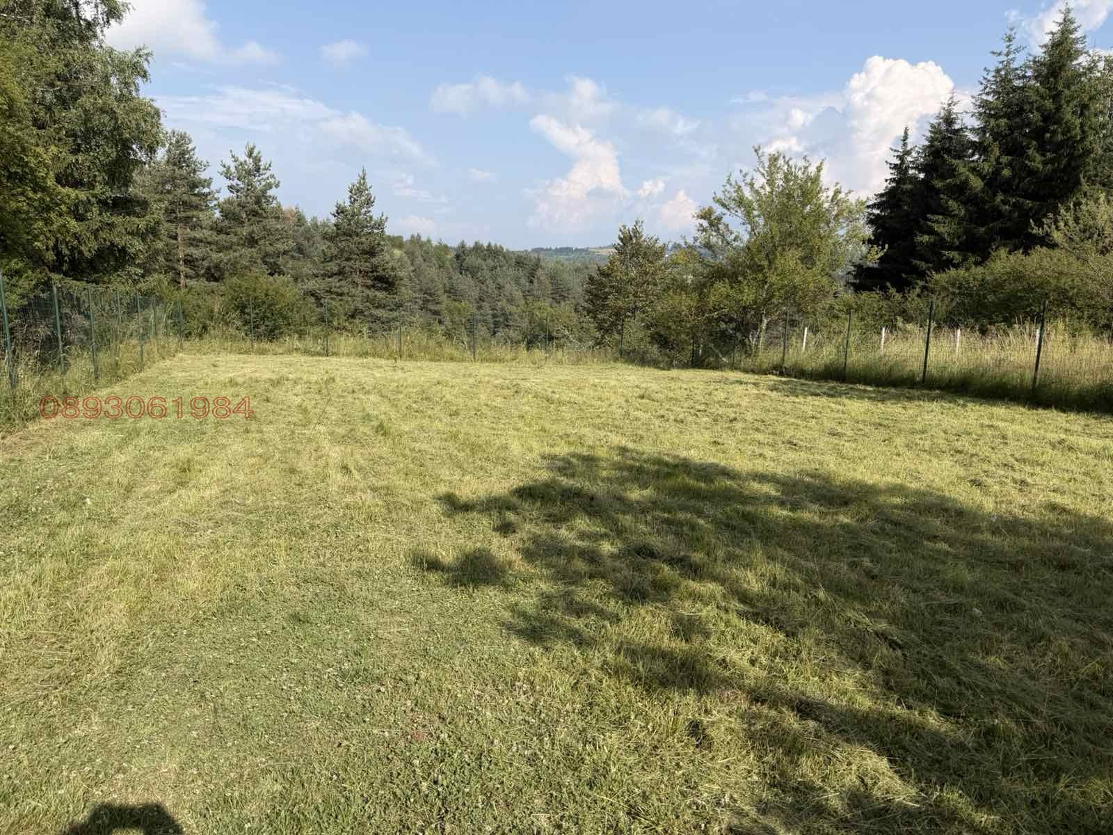 Продава ПАРЦЕЛ, гр. София, с. Плана, снимка 2 - Парцели - 55165303