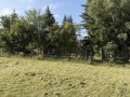 Продава ПАРЦЕЛ, гр. София, с. Плана, снимка 6