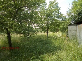 ������� ������ | Imot.bg � ����� ������ 5