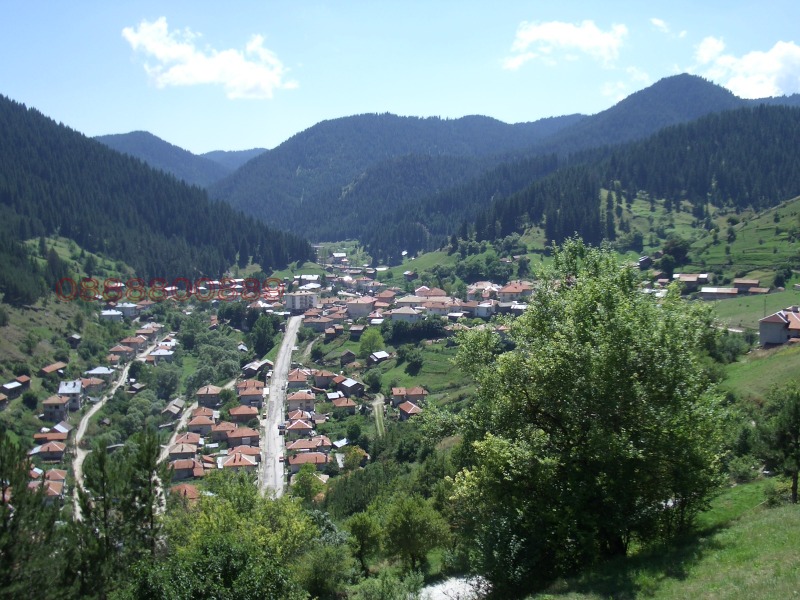 Продава ЗЕМЕДЕЛСКА ЗЕМЯ, с. Триград, област Смолян, снимка 3 - Земеделска земя - 52782212