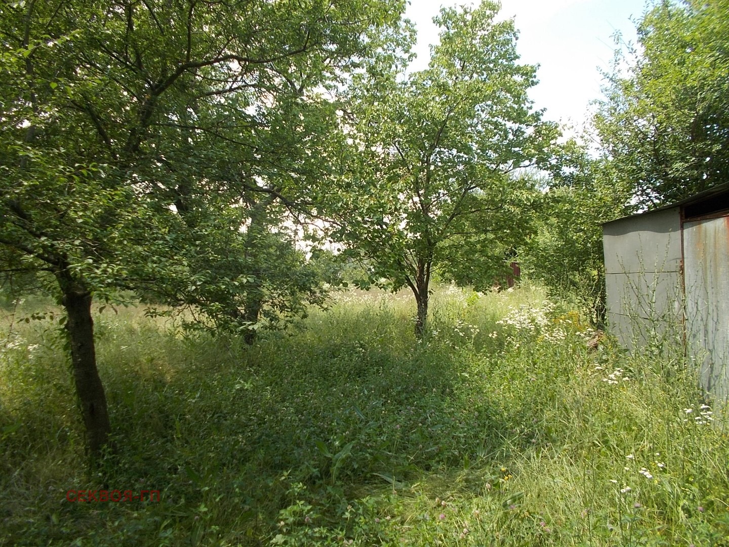 Продава ПАРЦЕЛ, с. Славеево, област Добрич, снимка 5 - Парцели - 55316007