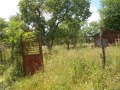Продава ПАРЦЕЛ, с. Славеево, област Добрич, снимка 4