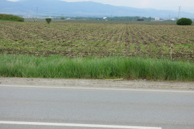 Complot Svilengrad, regiunea Haskovo