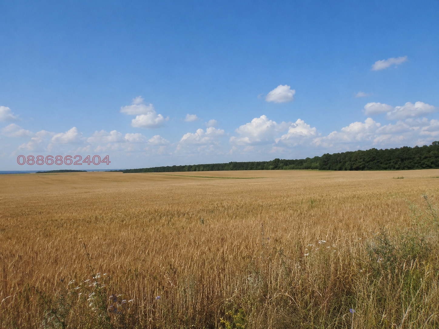 Продава ЗЕМЕДЕЛСКА ЗЕМЯ, с. Поручик Кърджиево, област Добрич