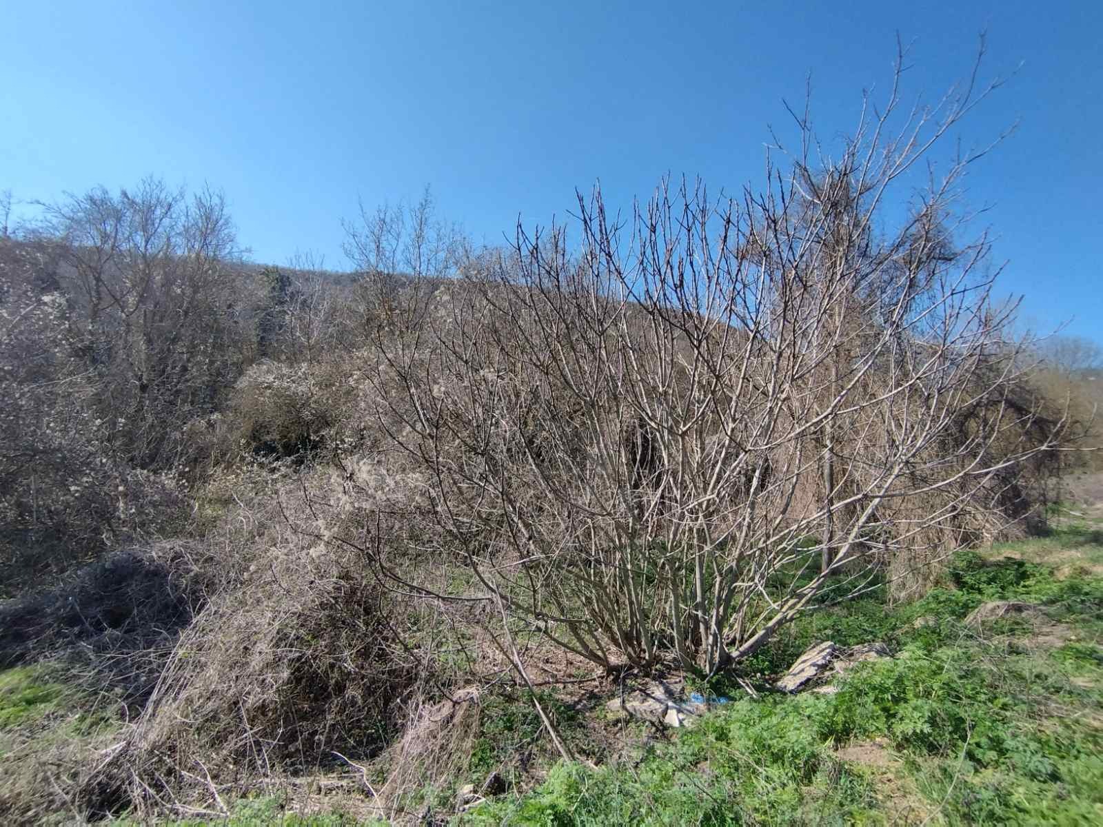 ������� ������ | Imot.bg � ����������� 3