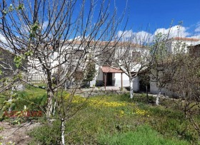 ����� ������� ����,���, ������