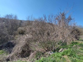 ������� ������ | Imot.bg � ����� ������ 3