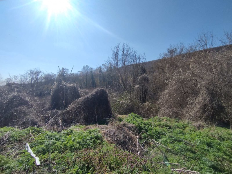 Продава ПАРЦЕЛ, гр. Балчик, област Добрич