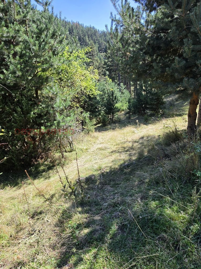 Продава ПАРЦЕЛ, гр. Доспат, област Смолян, снимка 12 - Парцели - 56727368