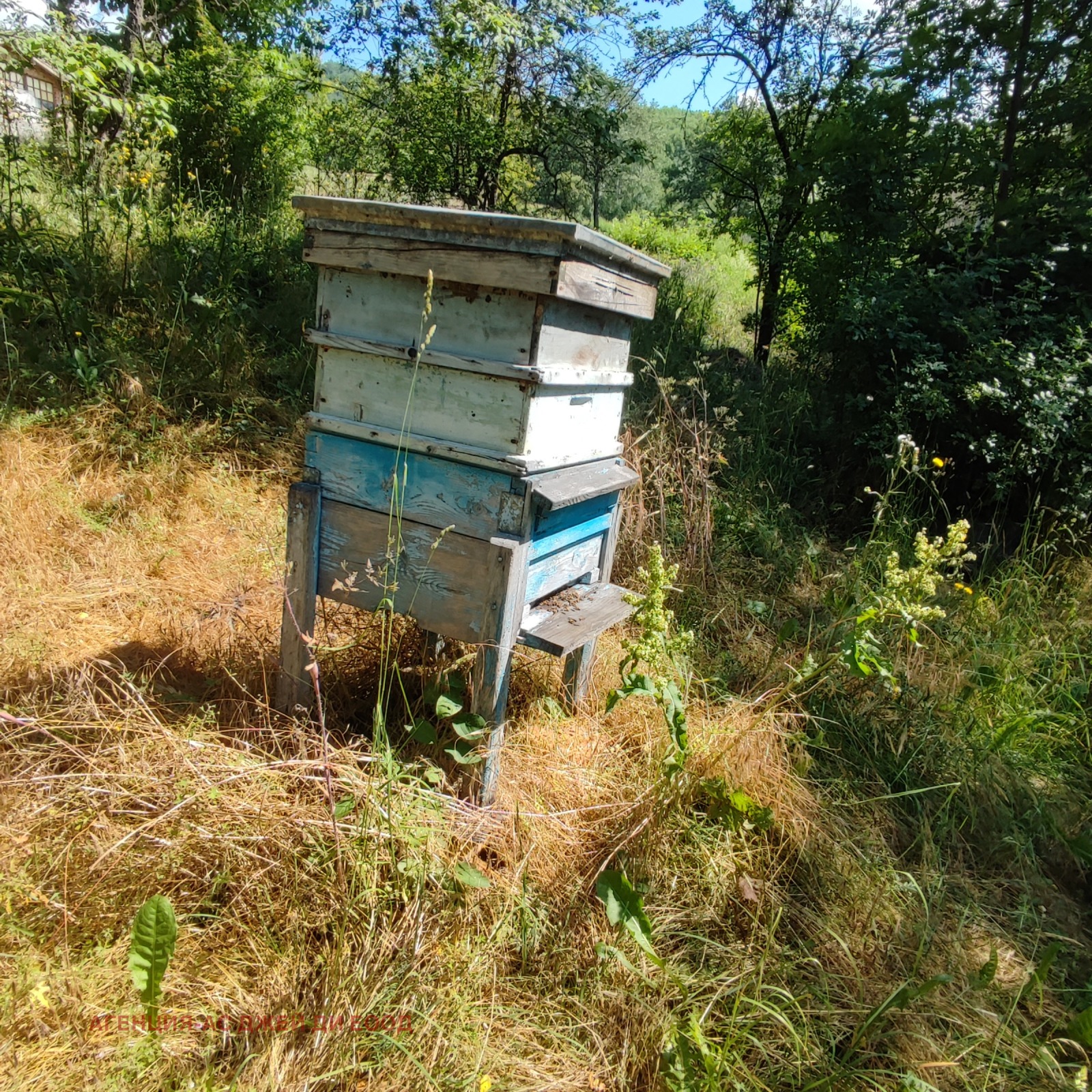 Продава КЪЩА, с. Шума, област София област, снимка 13 - Къщи - 55064646