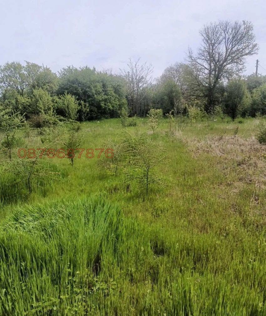 Продава КЪЩА, с. Пожарево, област Силистра