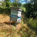 Продава КЪЩА, с. Шума, област София област, снимка 13
