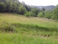 Продава ПАРЦЕЛ, с. Черни Вит, област Ловеч, снимка 3