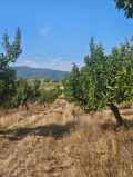 Продава ПАРЦЕЛ, с. Берсин, област Кюстендил, снимка 2