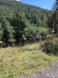 Продава ПАРЦЕЛ, гр. Доспат, област Смолян, снимка 6
