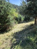 Продава ПАРЦЕЛ, гр. Доспат, област Смолян, снимка 12