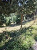 Продава ПАРЦЕЛ, област Смолян, гр. Доспат • 50050 € • 15430010 11