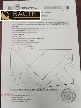 ����� ������� ������,�. ���������, ������ �����