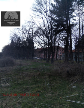 ������ ������� ������