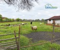 Продава КЪЩА, с. Горна Росица, област Габрово, снимка 2