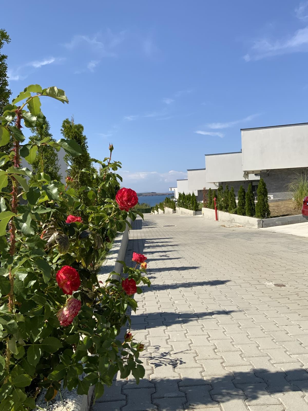 ������� ���� | Imot.bg � ����������� 2