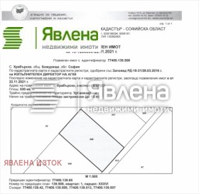 ������ ������� ������