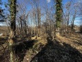 Продава ПАРЦЕЛ, с. Гарван, област Габрово, снимка 1