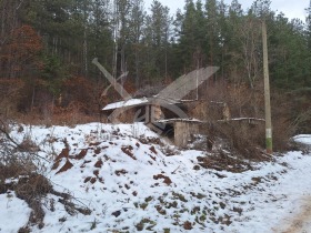 ������ ������� ������