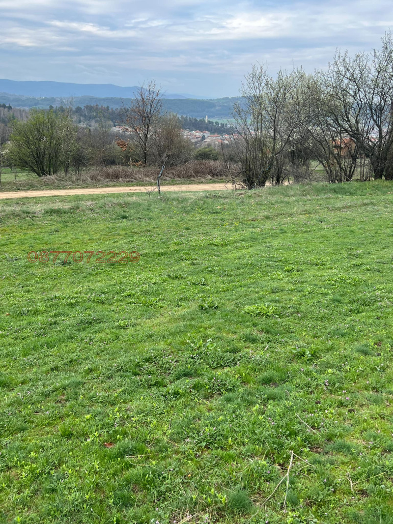 Eladó  Cselekmény régió Pazardzhik , Panagjurishte , 6604 négyzetméter | 39635794 - kép [2]