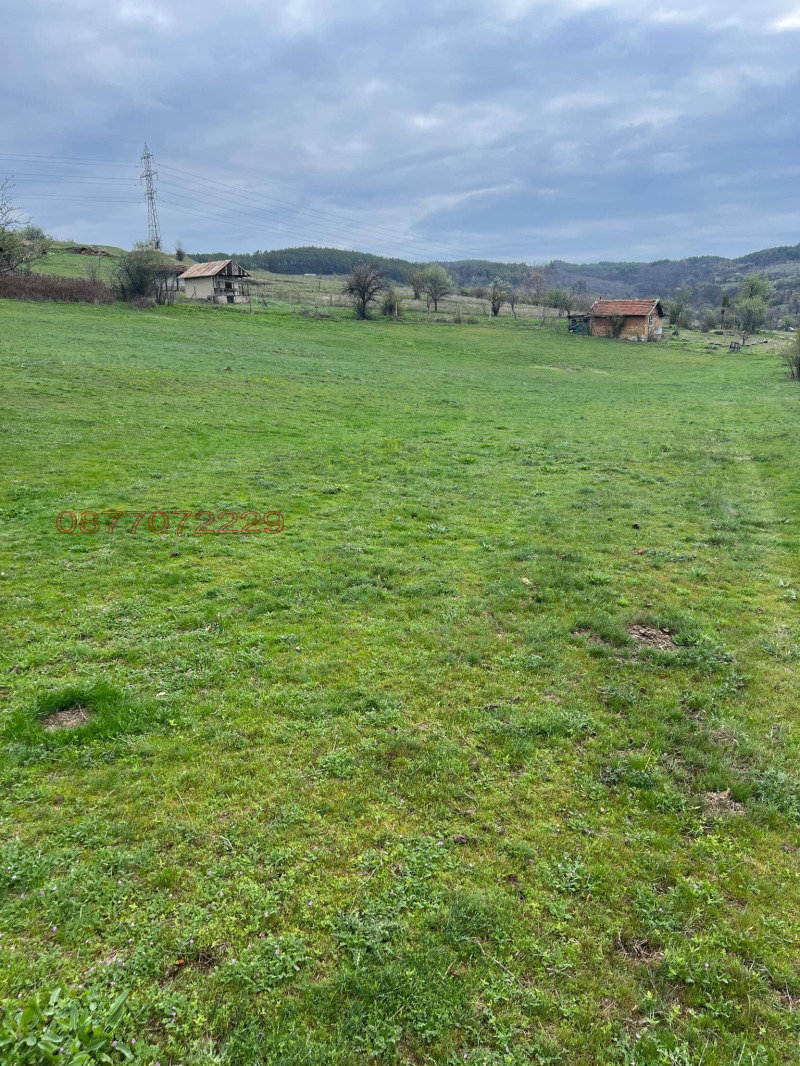Eladó  Cselekmény régió Pazardzhik , Panagjurishte , 6604 négyzetméter | 39635794