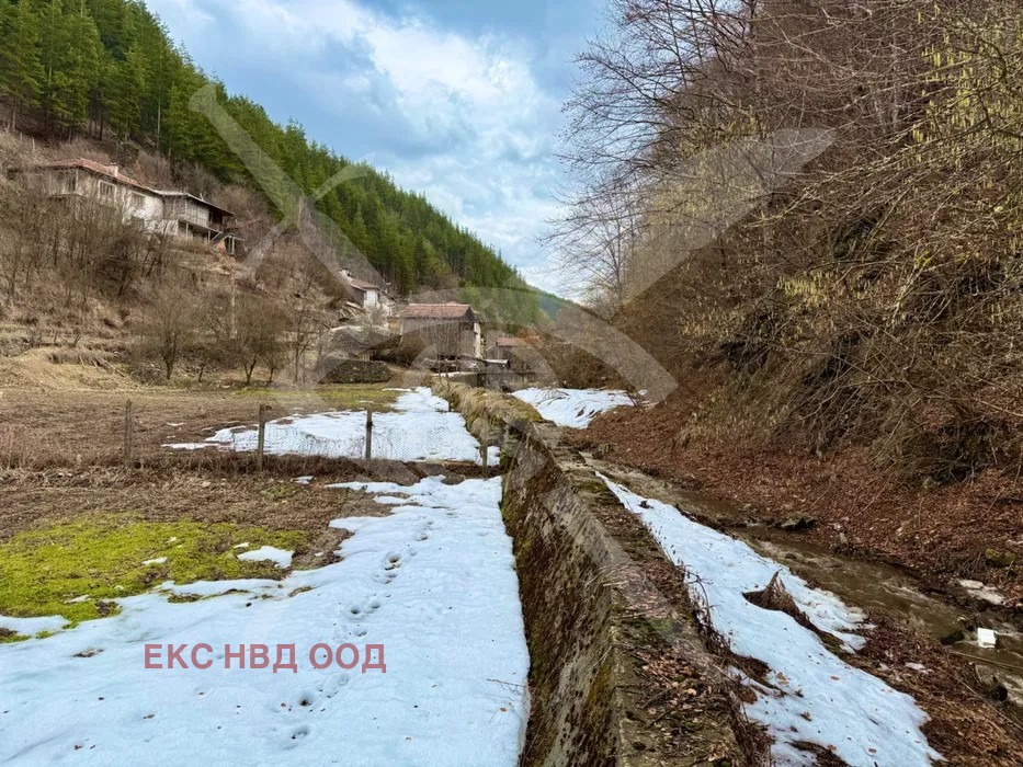 Продава КЪЩА, с. Лясково, област Пловдив, снимка 2 - Къщи - 53920355