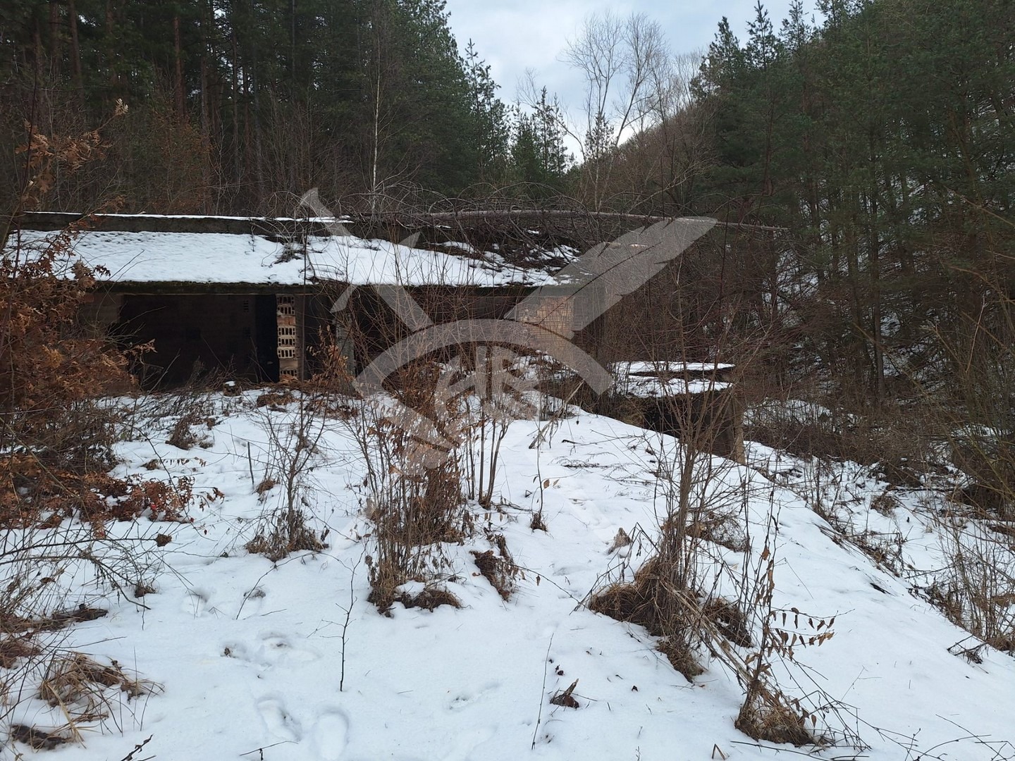 Продава ПАРЦЕЛ, с. Царичина, област София област, снимка 3 - Парцели - 53719723