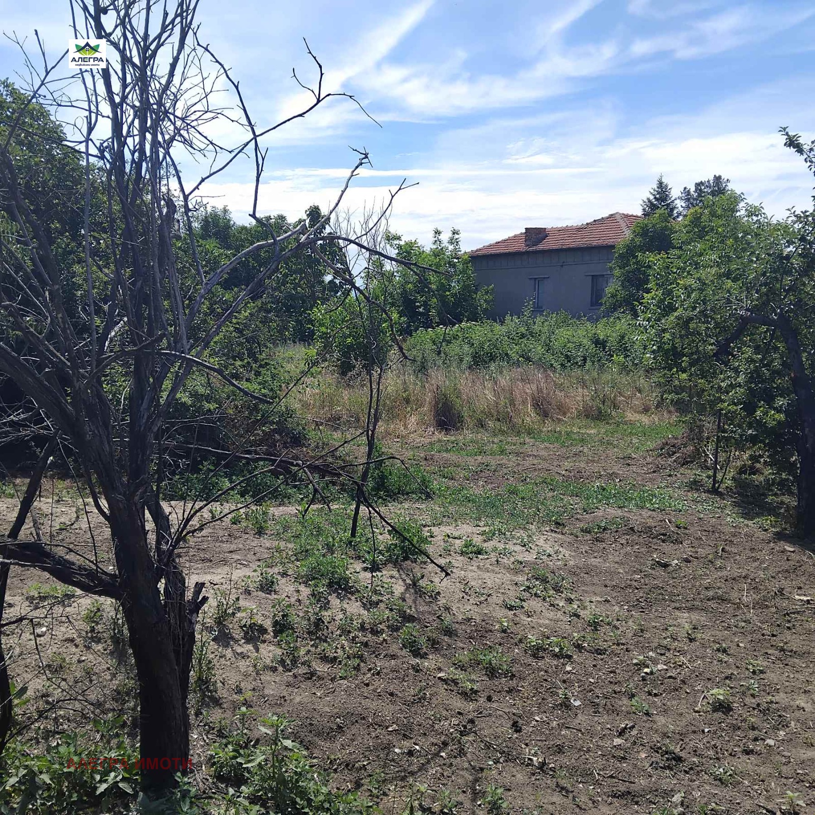Продава ПАРЦЕЛ, с. Хаджиево, област Пазарджик