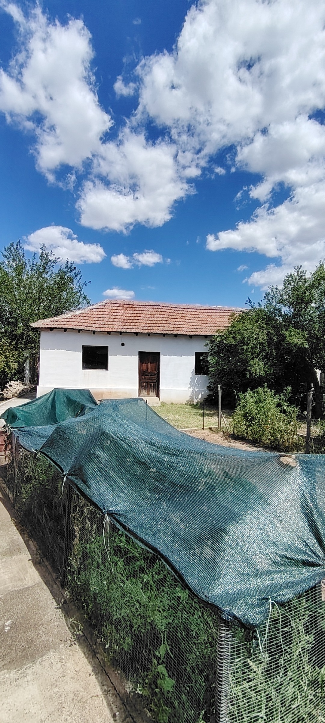 Продава КЪЩА, с. Лозен, област Хасково, снимка 4 - Къщи - 55712438