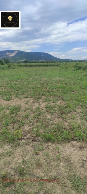 Продава  Парцел, с. Брестник