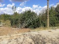 Продава ПАРЦЕЛ, с. Самоводене, област Велико Търново, снимка 1