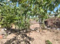 Продава КЪЩА, област Кюстендил, с. Катрище • 42499 € • 63692429 — Holmes.bg