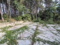Продава  Парцел област Търговище , с. Здравец , 5927 кв.м | 47392536 - изображение [2]
