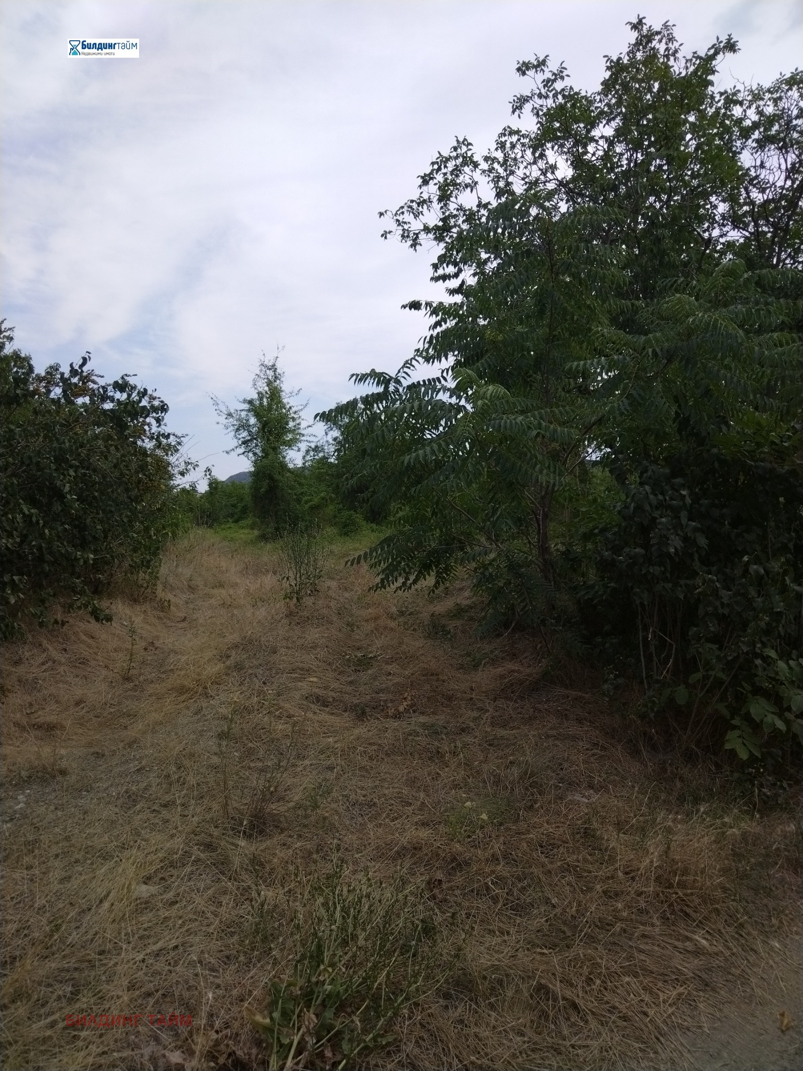 Продава ПАРЦЕЛ | Imot.bg — изображение 1