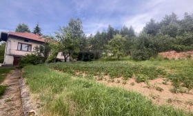 ����� ������� ����,�. ���� ����, ������ �����