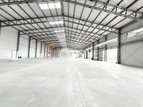 ����� ������� �����,���� �����, �. �����