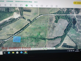 ПАРЦЕЛ, 13 000 m2