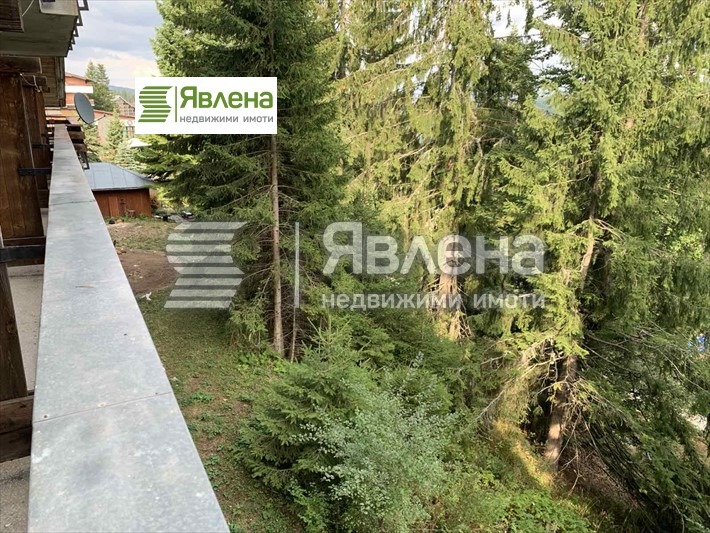 На продаж  Готель область Смолян , к.к. Пампорово , 11000 кв.м | 91652251 - зображення [5]